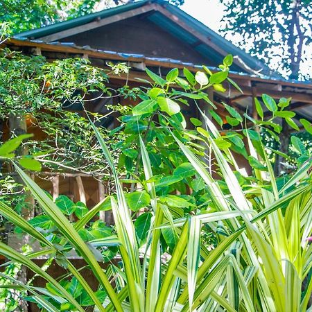 Hotel Dambulla Wilderness World Exterior photo