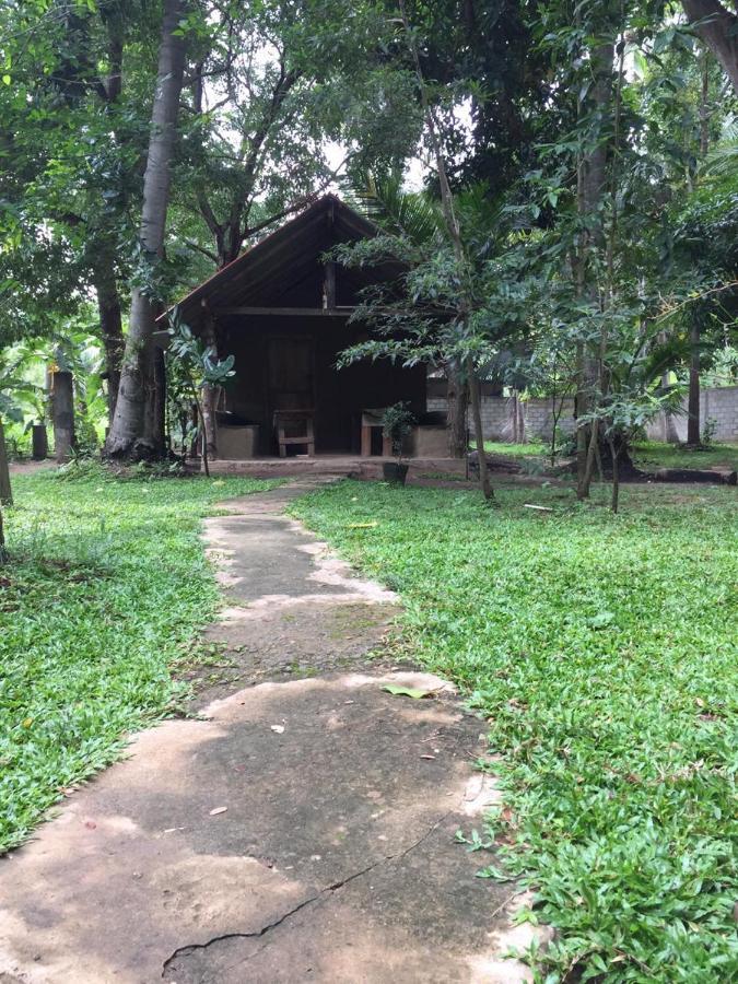 Hotel Dambulla Wilderness World Exterior photo