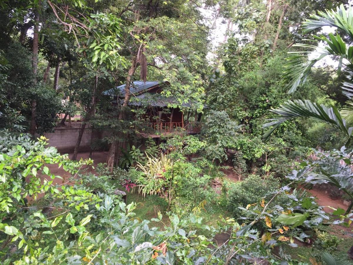 Hotel Dambulla Wilderness World Exterior photo