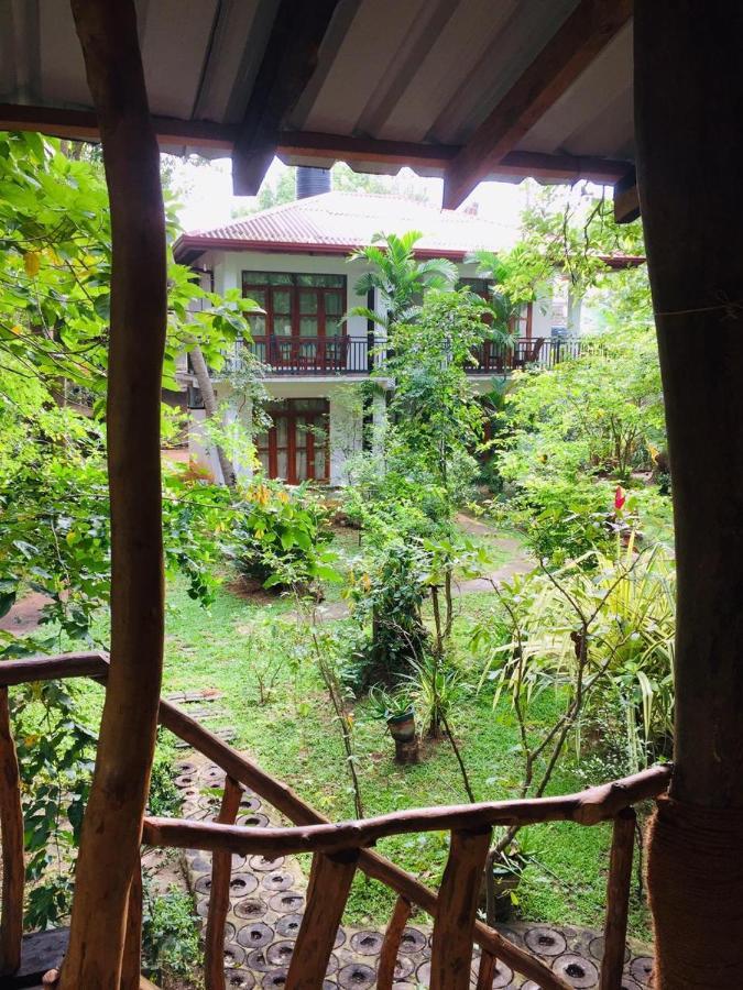 Hotel Dambulla Wilderness World Exterior photo