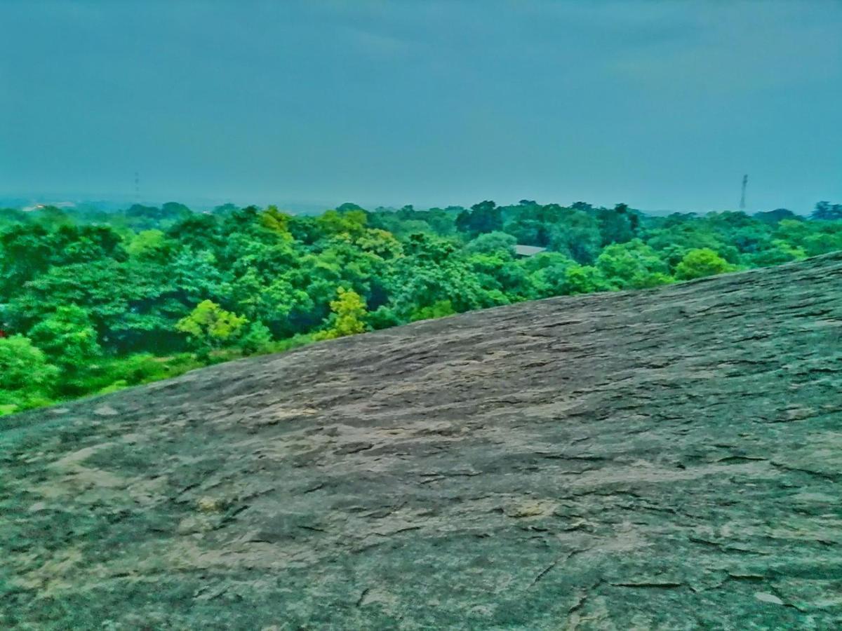 Hotel Dambulla Wilderness World Exterior photo