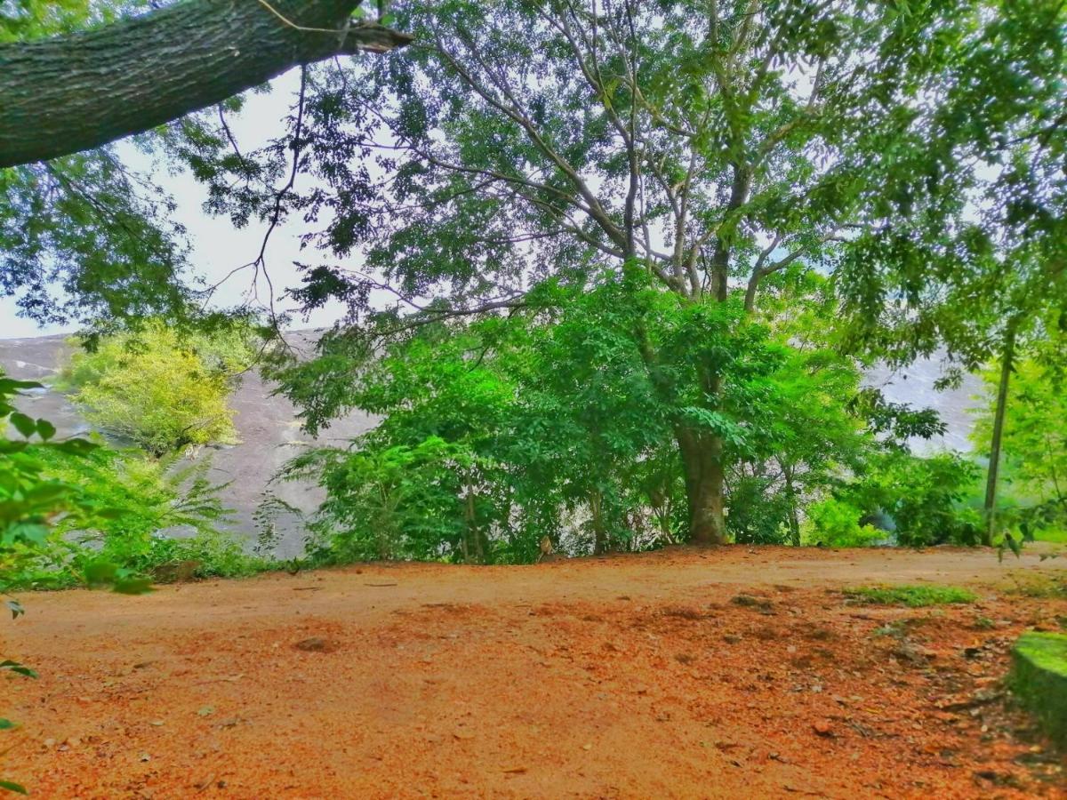 Hotel Dambulla Wilderness World Exterior photo