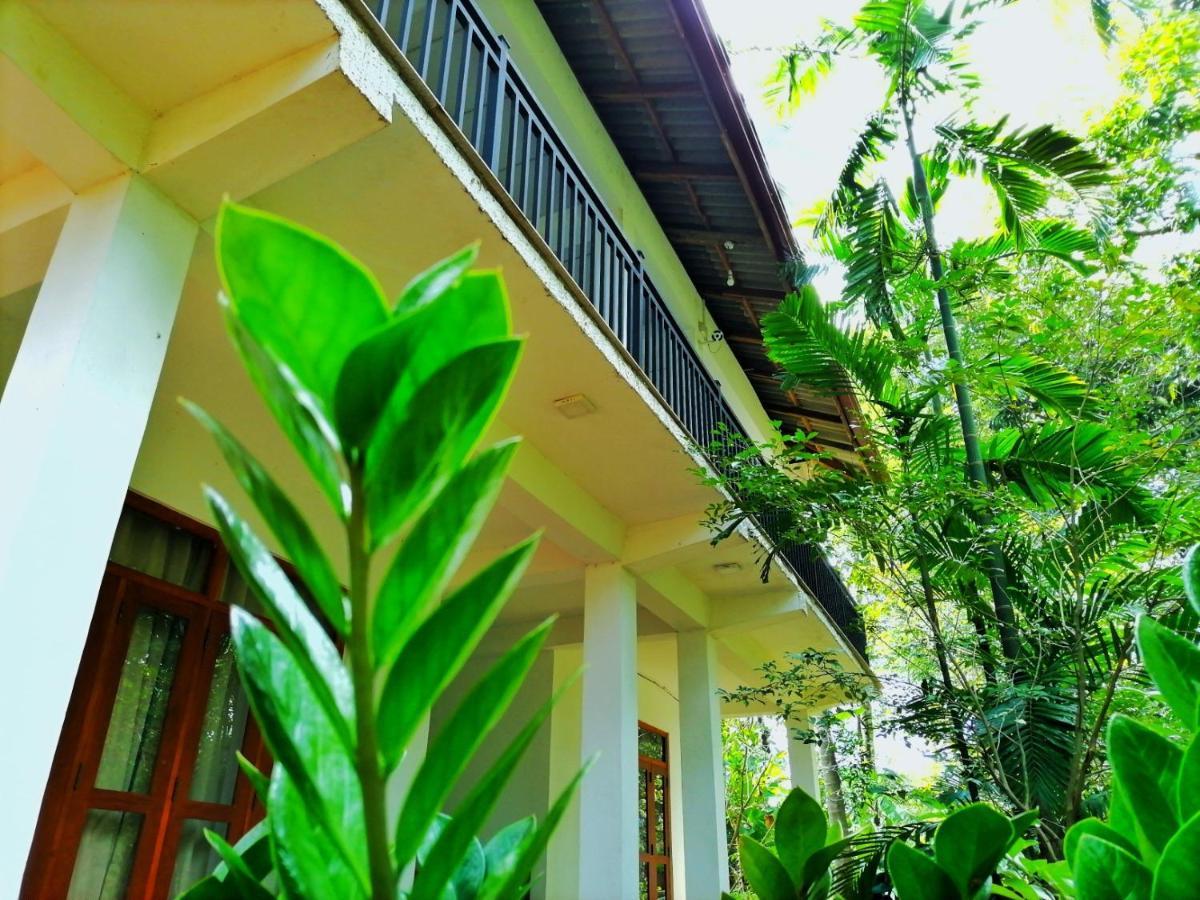 Hotel Dambulla Wilderness World Exterior photo
