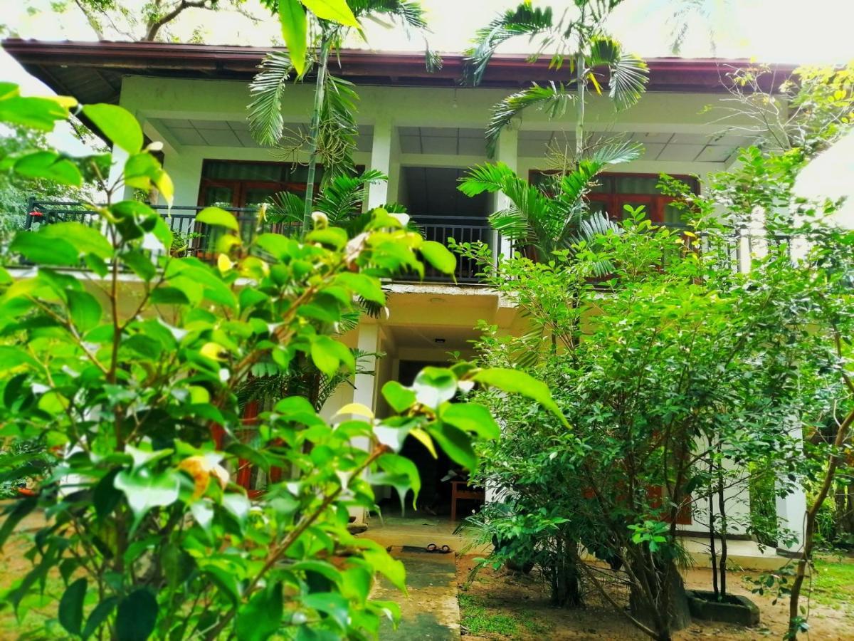 Hotel Dambulla Wilderness World Exterior photo