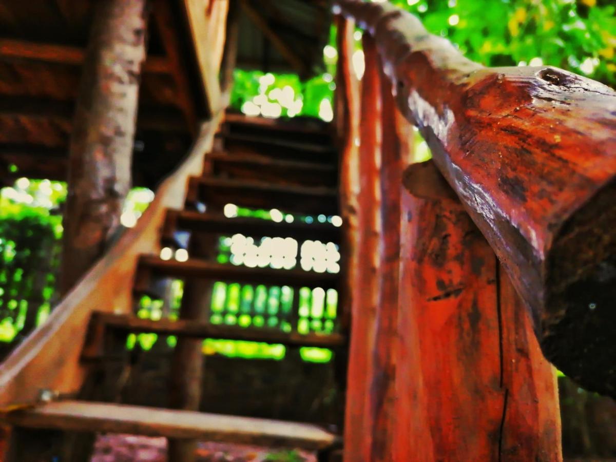 Hotel Dambulla Wilderness World Exterior photo