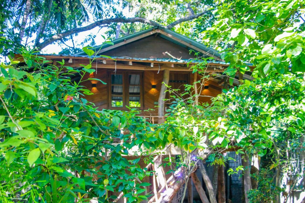 Hotel Dambulla Wilderness World Exterior photo
