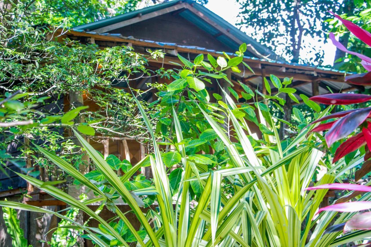Hotel Dambulla Wilderness World Exterior photo