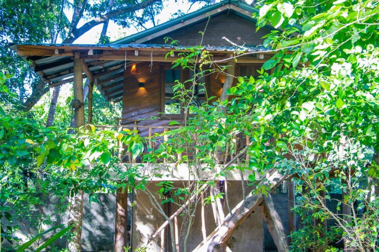Hotel Dambulla Wilderness World Exterior photo